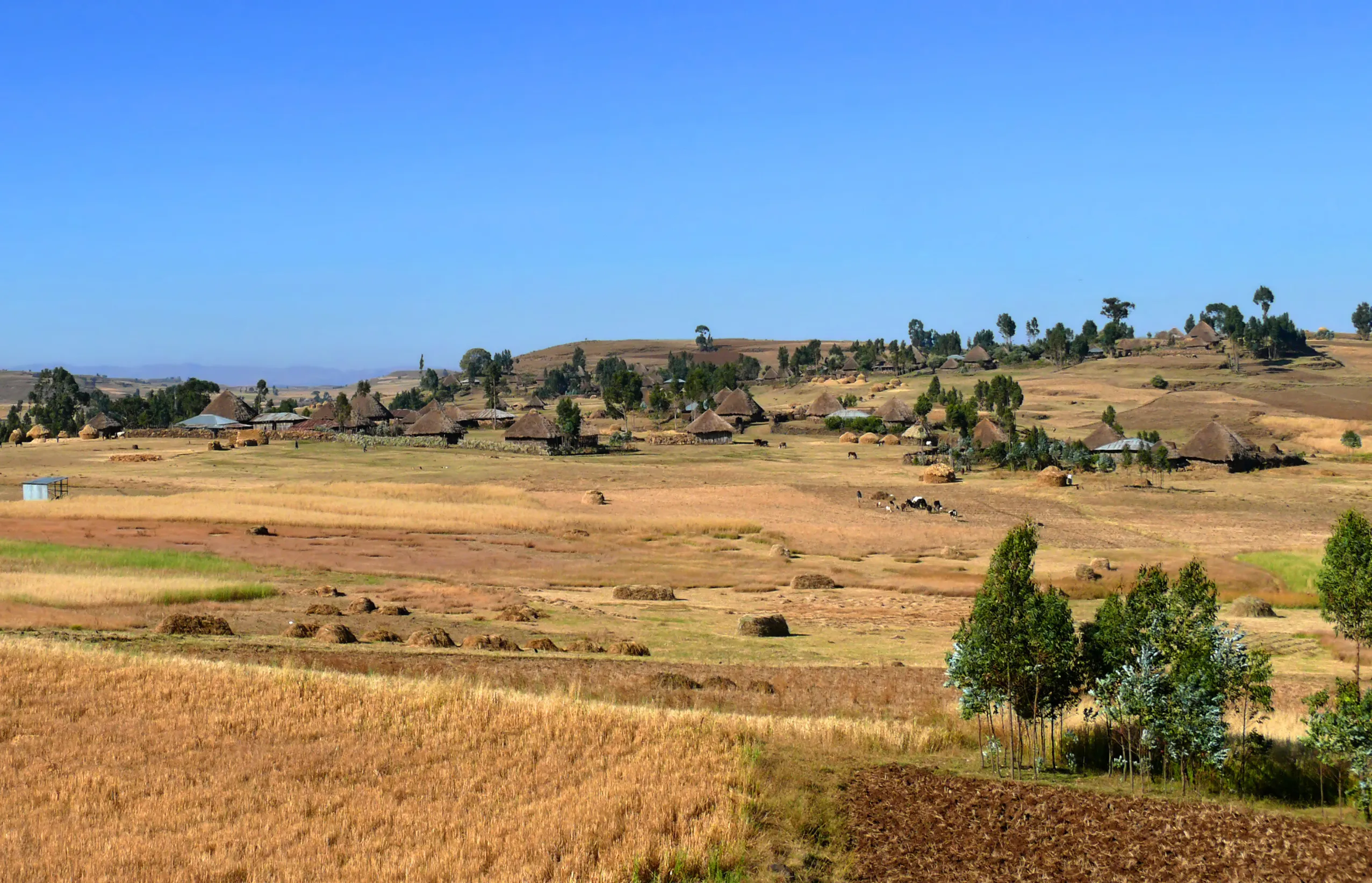 village on the nature background africa ethiopia