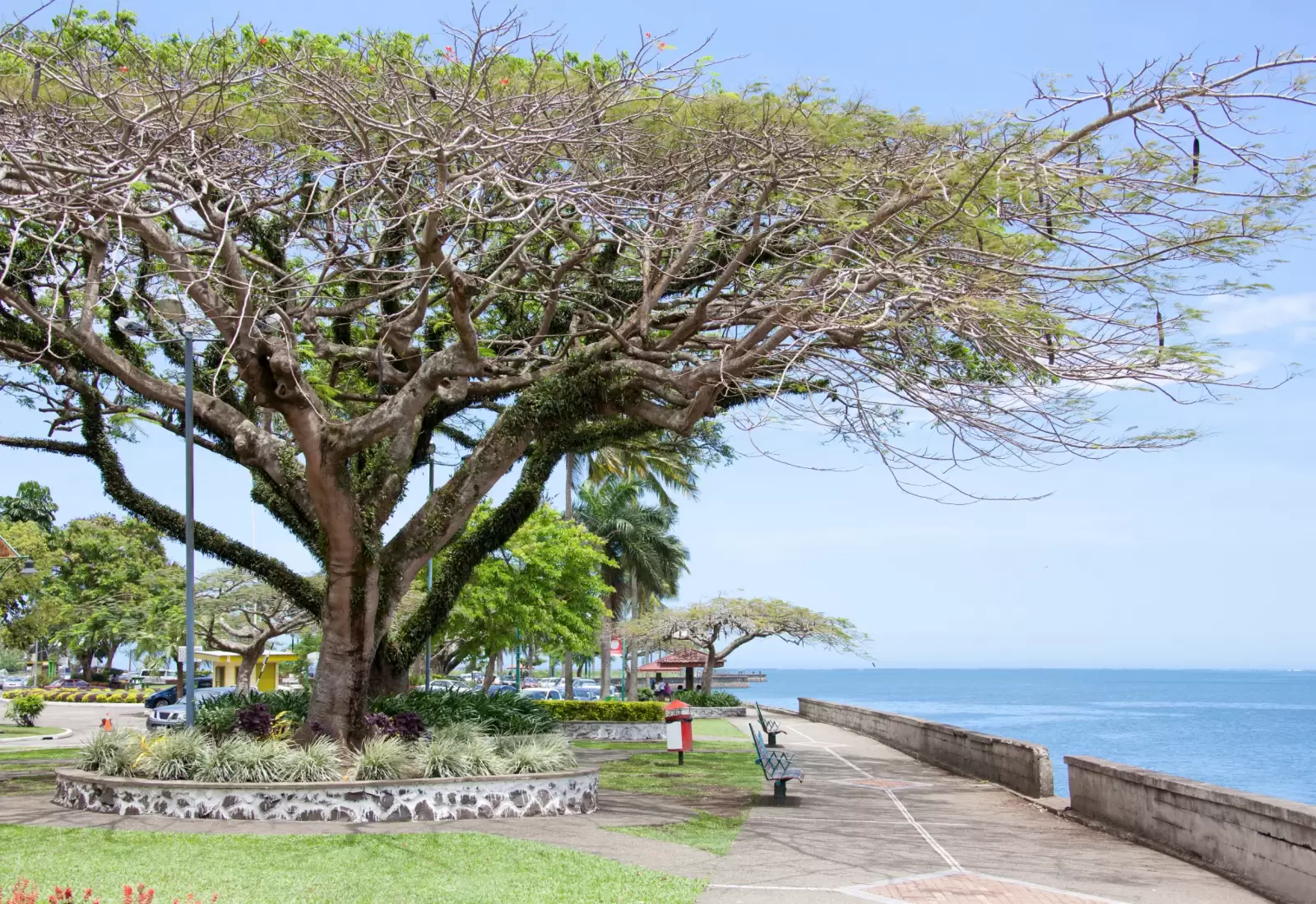 walkway along the shore in suva the capital of fiji walkway along the shore in suva the capital of fiji