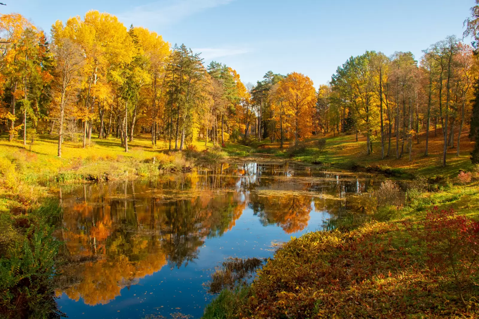 wonderful autumn landscape with beautiful yellow and orange colored trees lake wonderful autumn landscape with beautiful yellow and orange colored trees lake