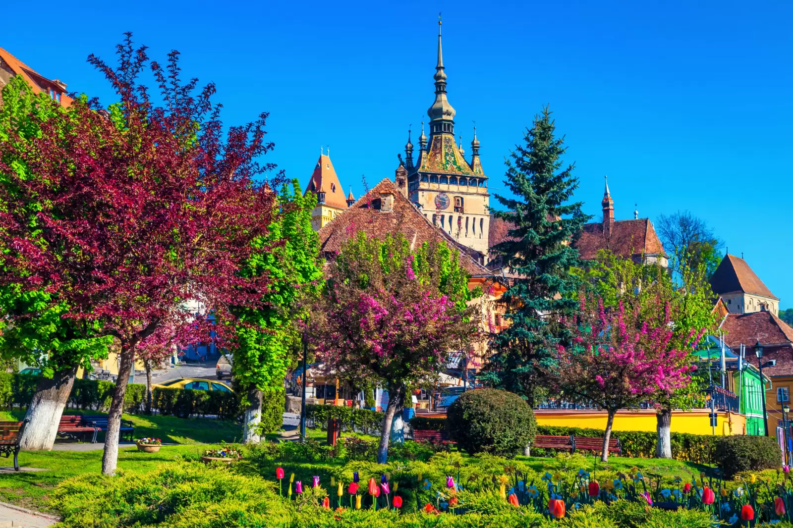 wonderful ornamental city park with colorful fresh tulips and spring flowering wonderful ornamental city park with colorful fresh tulips and spring flowering