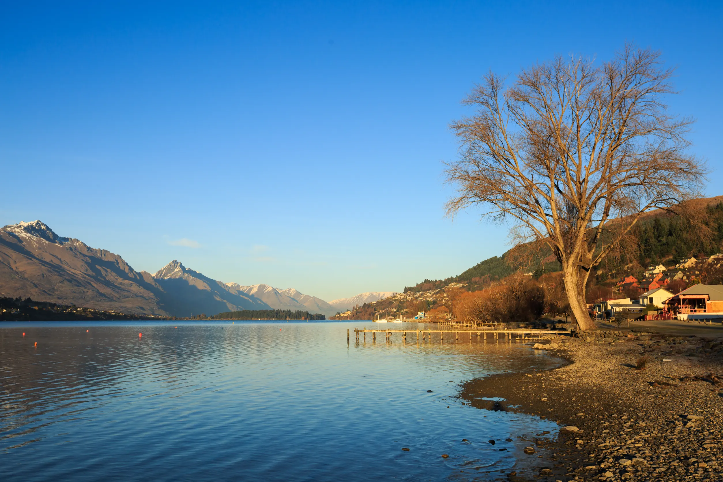 wooden pier in the morning at lake wakatipu queenstown new zealand